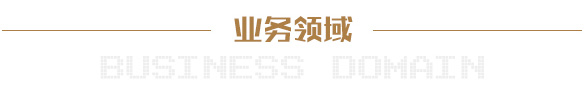 業(yè)務(wù)領(lǐng)域